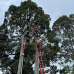 IMG-20241121-WA0084